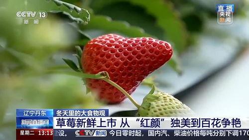 国产三级 第3页